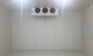 1-b2832bbd96652d17d53b8eeec2e61b96